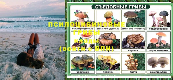кокс Богданович