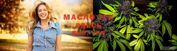 mix Богородицк